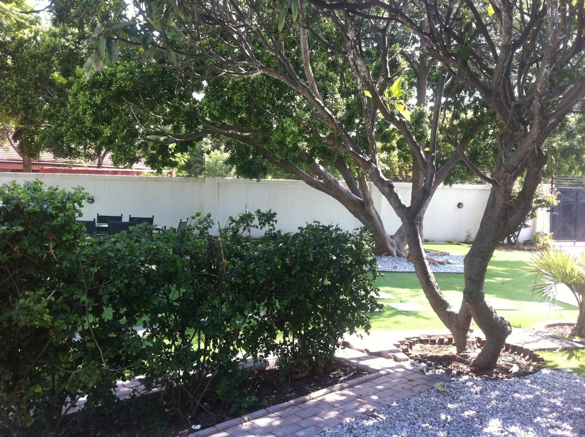 Bed and Breakfast Cosy Palms Gaborone Esterno foto